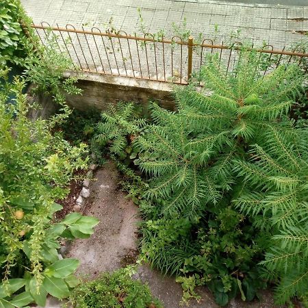 Bed and Breakfast Il Cactus San Giovanni Incarico Экстерьер фото