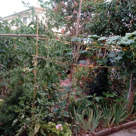 Bed and Breakfast Il Cactus San Giovanni Incarico Экстерьер фото