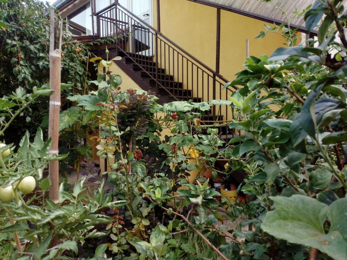 Bed and Breakfast Il Cactus San Giovanni Incarico Экстерьер фото